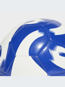 Мячи Adidas модель HZ4168-KZ Фото