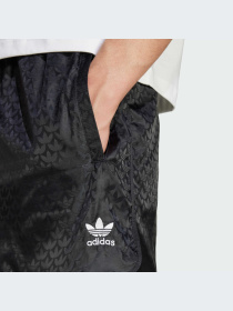 Шорты Adidas Graphics модель IZ2534-KZ Фото