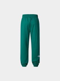 Брюки The North Face модель NF0A8A6KNL11 Фото