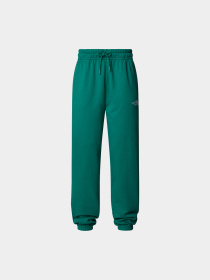 Брюки The North Face модель NF0A8A6KNL11 Фото