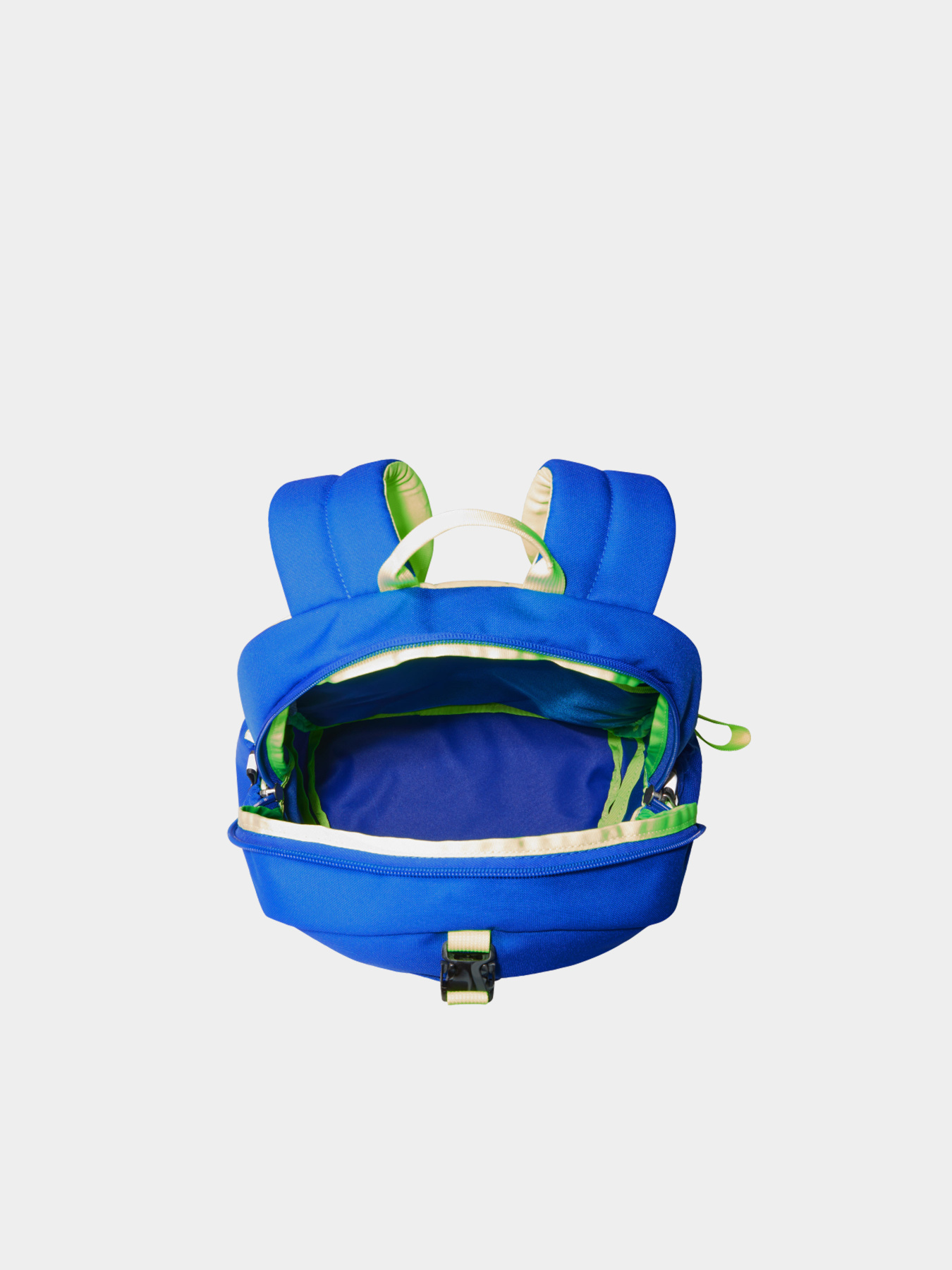 Рюкзаки The North Face модель NF0A52VX0O11 Фото