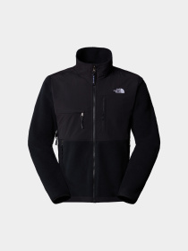 Худи и свитшоты The North Face модель NF0A88XHJK31 Фото