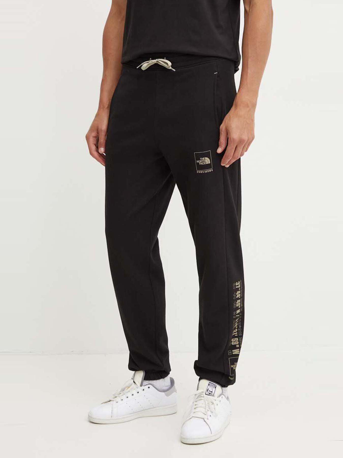 Брюки The North Face модель NF0A89DBJK31 Фото