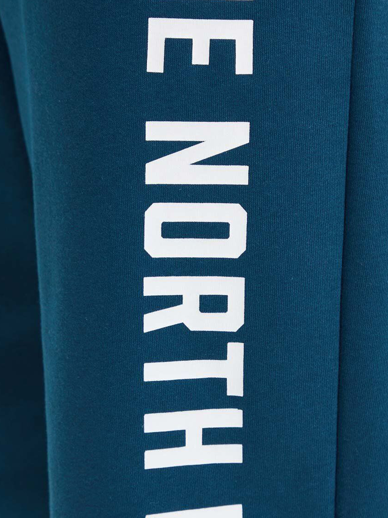 Брюки The North Face модель NF0A89DP1NO1 Фото