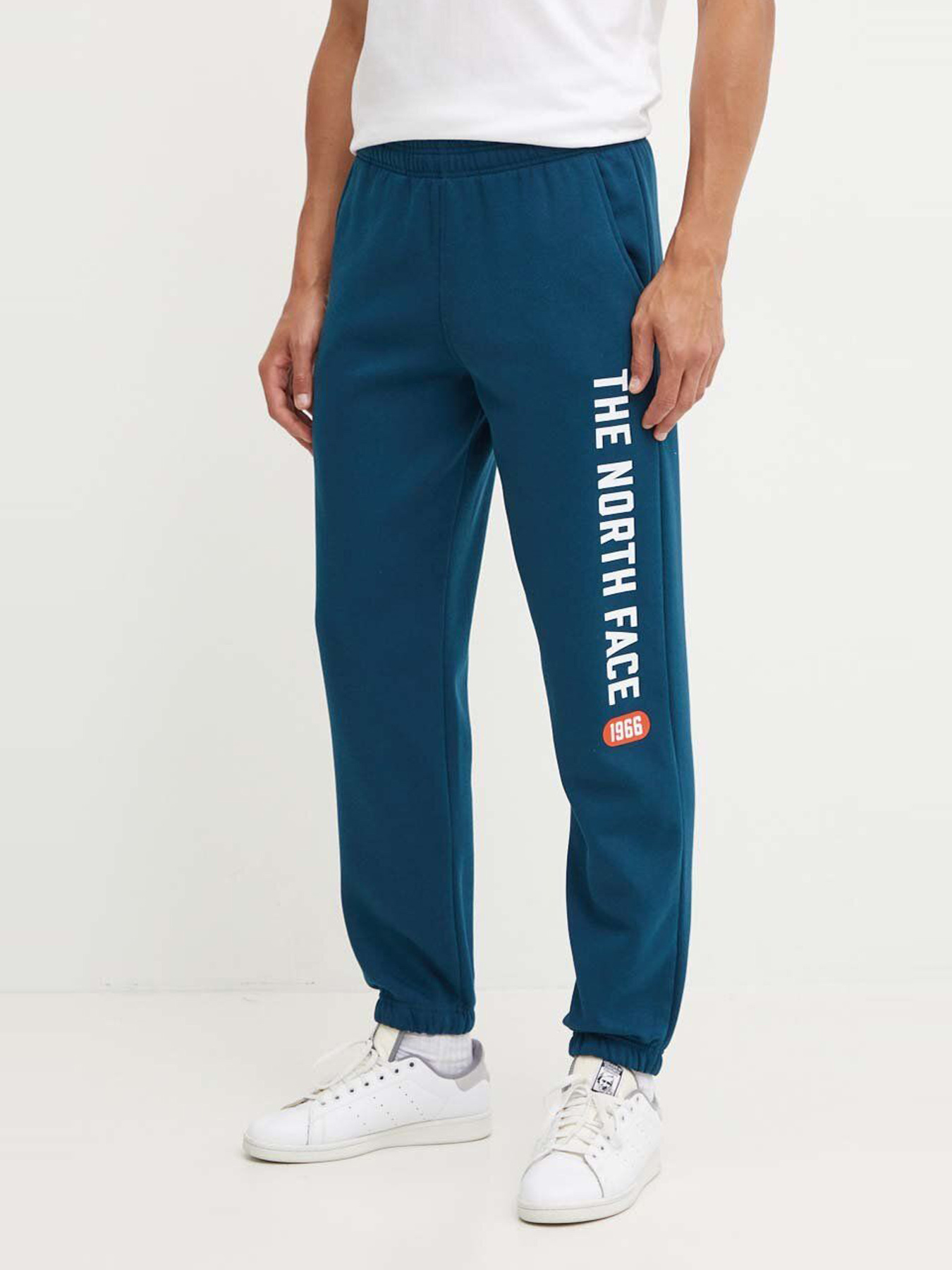 Брюки The North Face модель NF0A89DP1NO1 Фото
