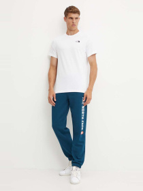 Брюки The North Face модель NF0A89DP1NO1 Фото