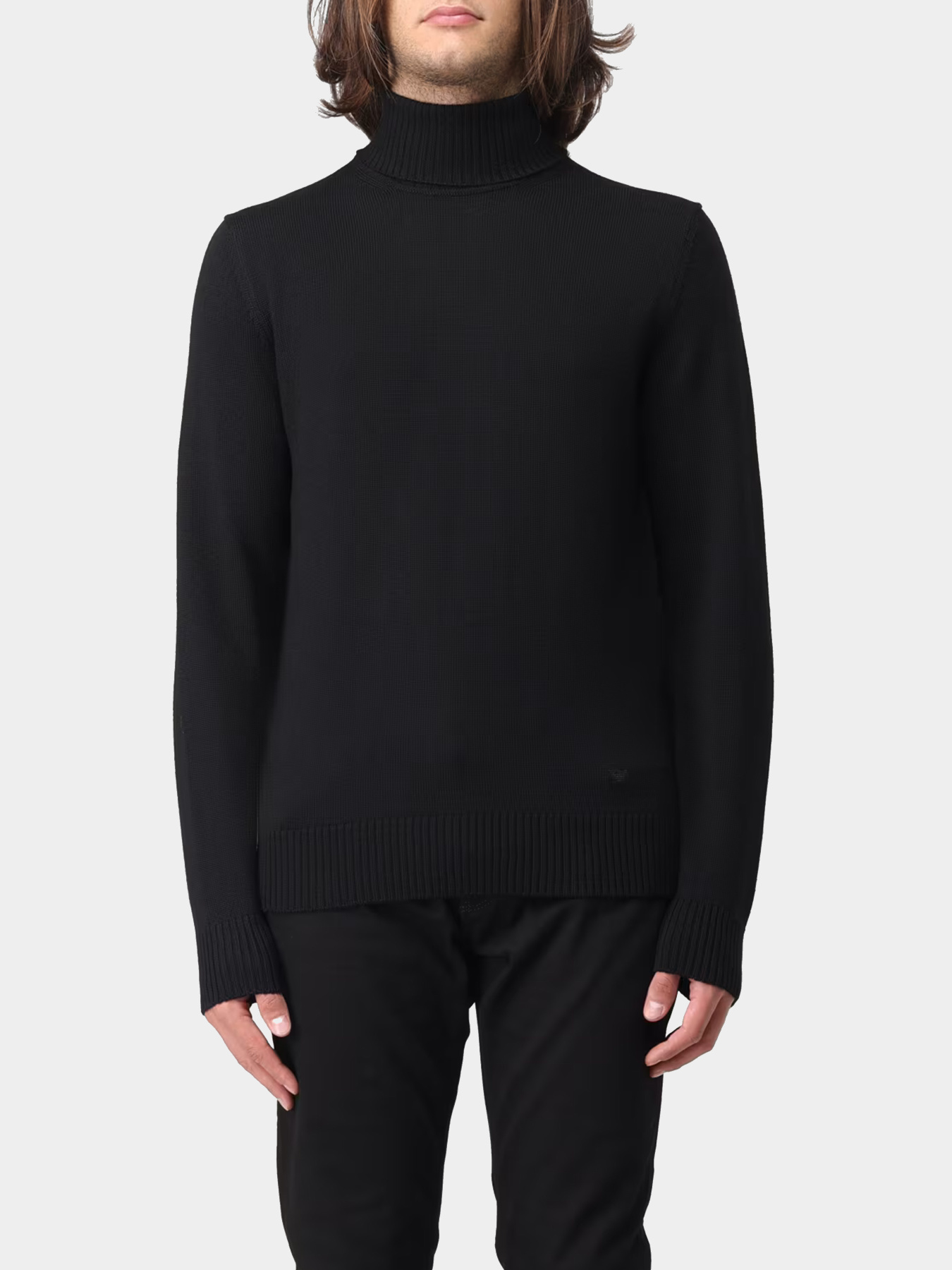 Худи и свитшоты Emporio Armani модель 8N1MVB-1M67Z-0999 Фото