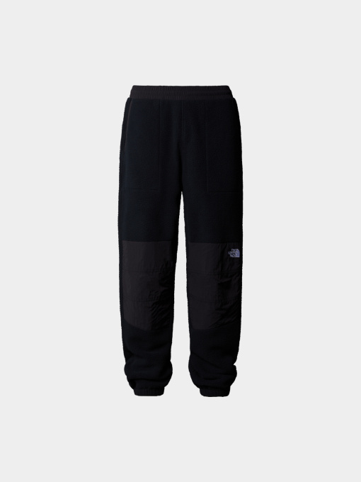 Брюки The North Face модель NF0A88XKJK31 Фото
