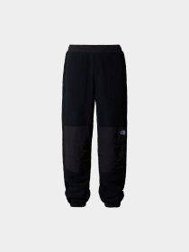 Брюки The North Face модель NF0A88XKJK31 Фото