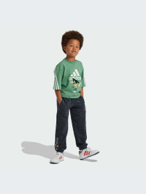 Брюки Adidas модель IV9626-KZ Фото