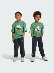 Брюки Adidas модель IV9626-KZ Фото