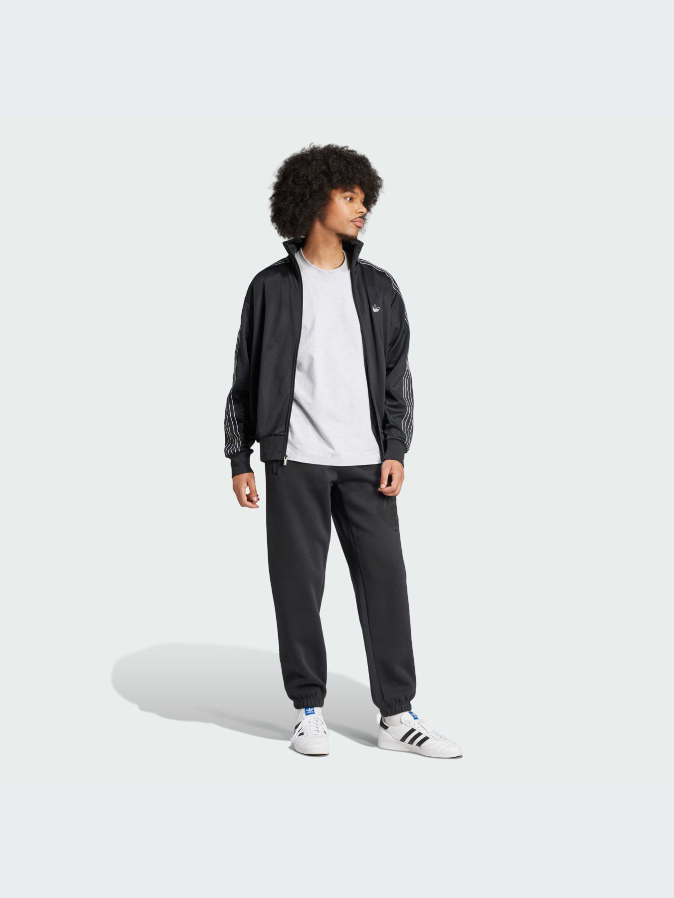 Брюки Adidas Graphics модель IZ2565-KZ Фото