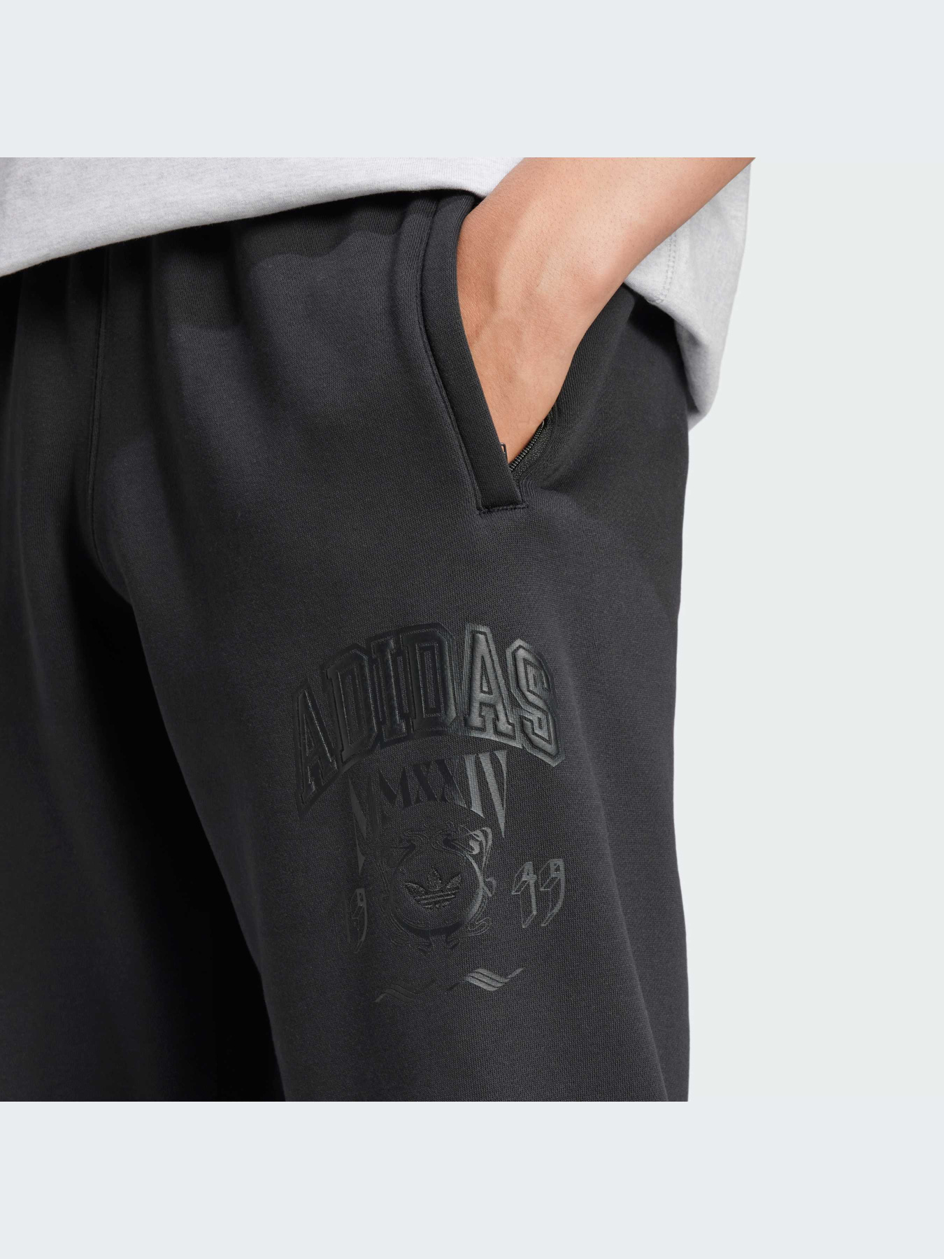 Брюки Adidas Graphics модель IZ2565-KZ Фото