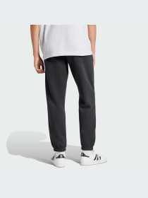 Брюки Adidas Graphics модель IZ2565-KZ Фото