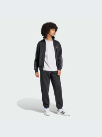 Брюки Adidas Graphics модель IZ2565-KZ Фото