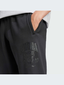 Брюки Adidas Graphics модель IZ2565-KZ Фото