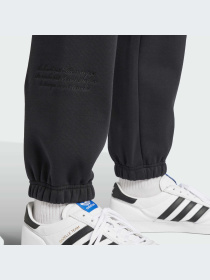 Брюки Adidas Graphics модель IZ2565-KZ Фото