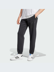 Брюки Adidas Graphics модель IZ2565-KZ Фото