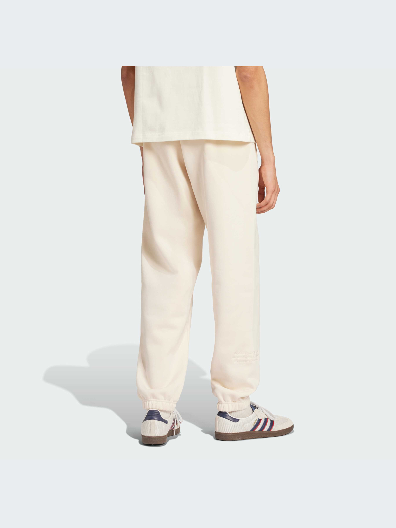 Брюки Adidas Graphics модель IZ2574-KZ Фото