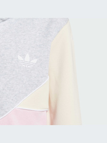 Худи и свитшоты Adidas Adicolor модель IJ5379-KZ Фото
