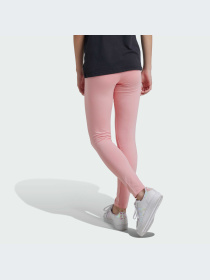 Брюки Adidas модель IX5302-KZ Фото