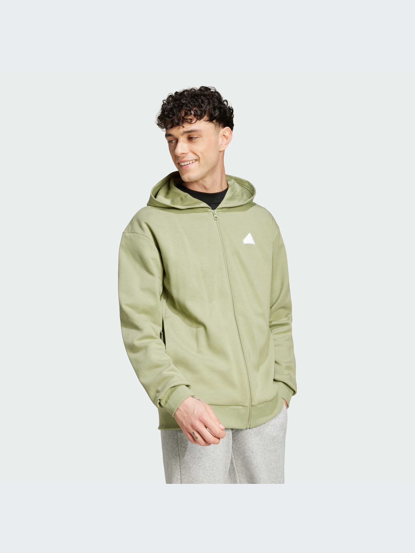 Худи и свитшоты Adidas Icons модель IW8555-KZ Фото