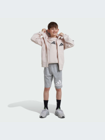 Худи и свитшоты Adidas ZNE модель JF2509-KZ Фото
