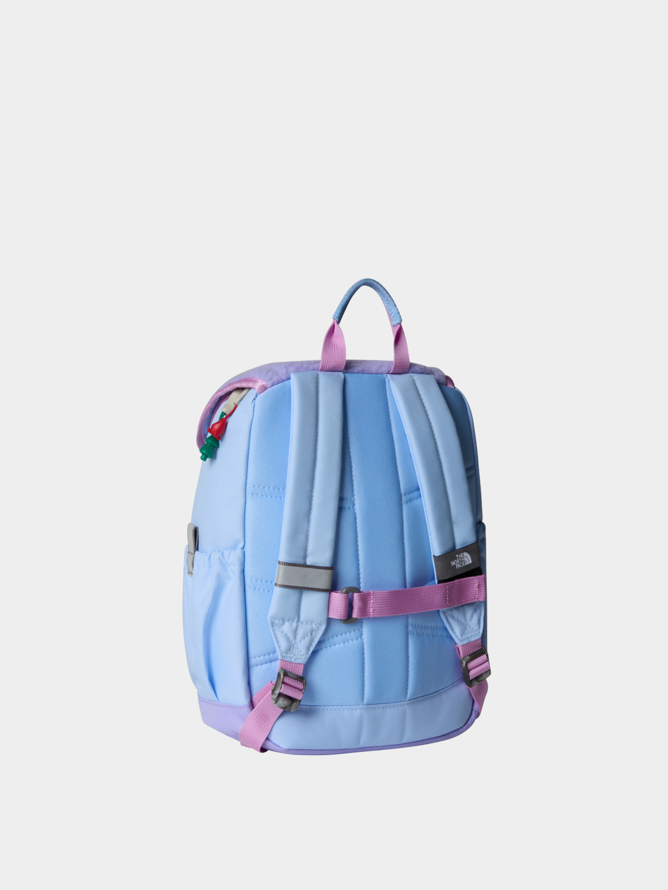 Рюкзаки The North Face модель NF0A52VW0OY1 Фото