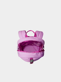 Рюкзаки The North Face модель NF0A52VX0IW1 Фото
