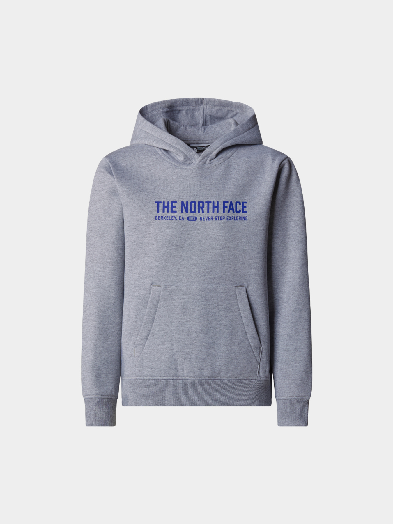 Худи и свитшоты The North Face модель NF0A89HBDYX1 Фото
