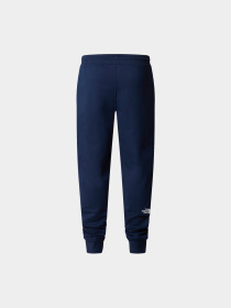 Брюки The North Face модель NF0A8A6B8K21 Фото