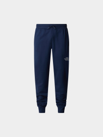 Брюки The North Face модель NF0A8A6B8K21 Фото