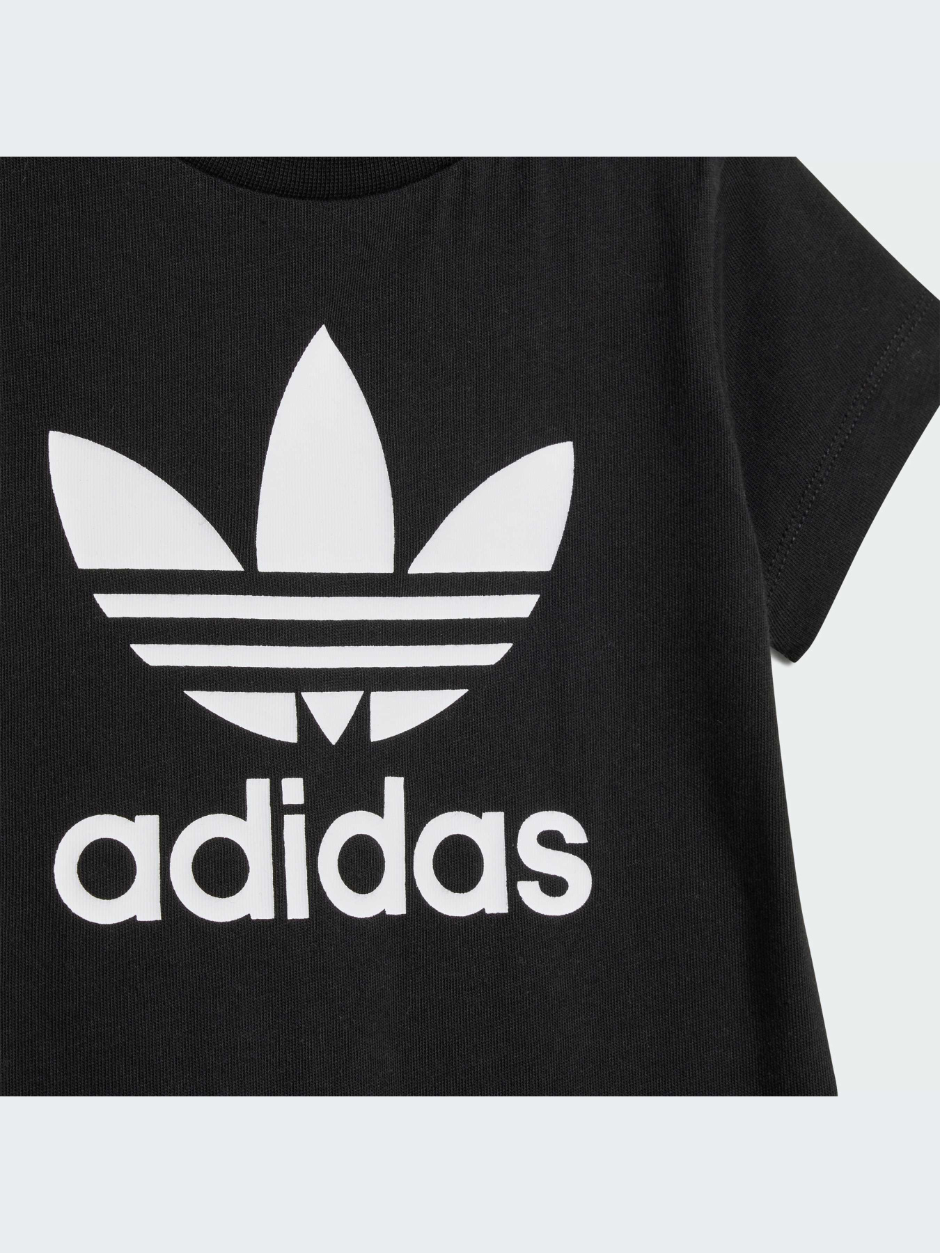 Одежда для младенцев Adidas Adicolor модель IS7257-KZ Фото