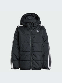 Куртки и дубленки Adidas Adicolor модель IY4812-KZ Фото