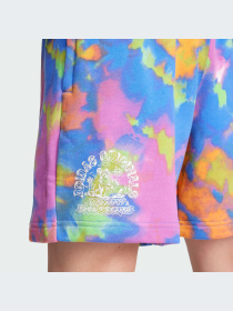 Шорты Adidas Graphics модель IX6693-KZ Фото