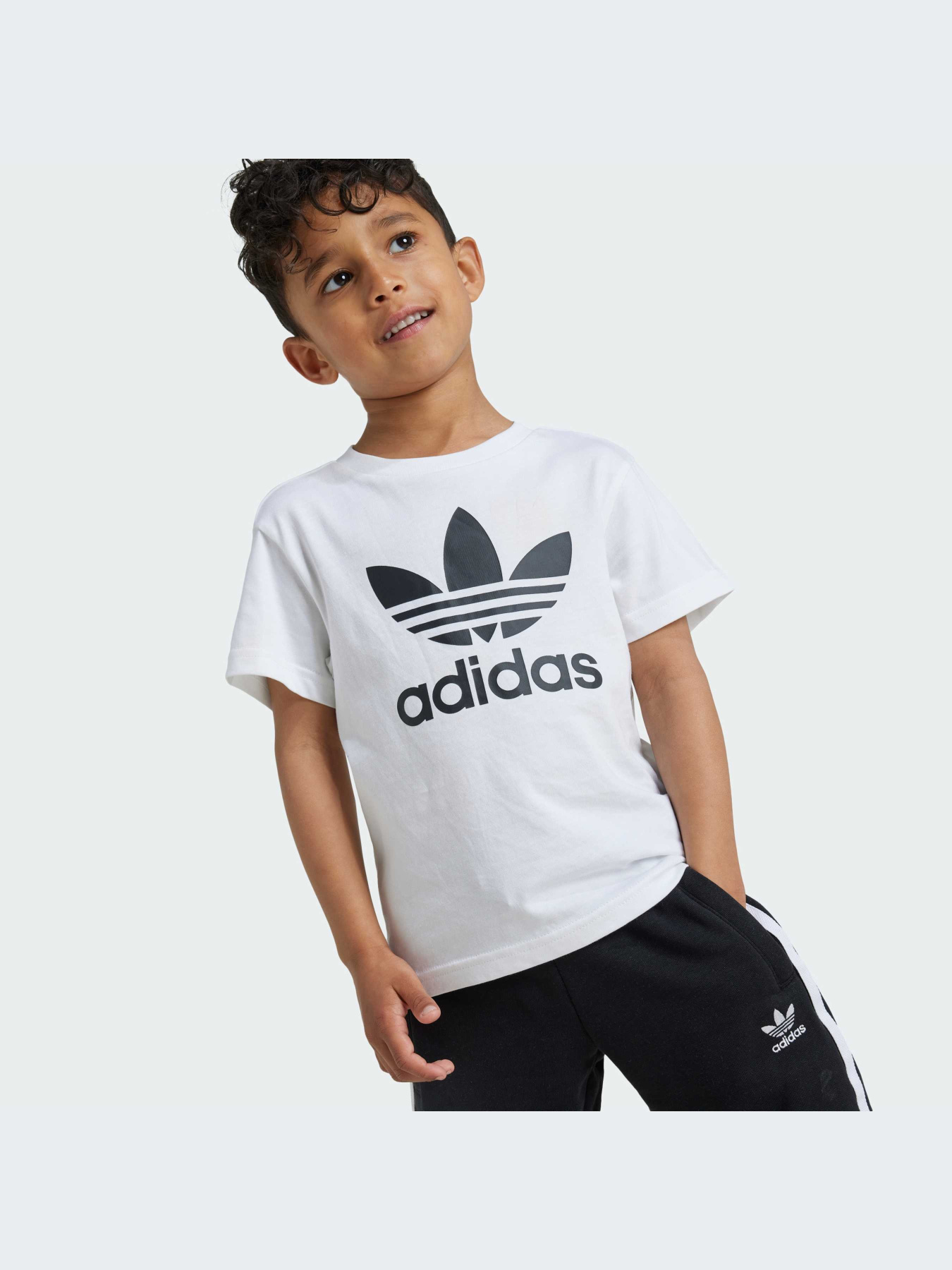 Костюмы Adidas Adicolor модель JE1613-KZ Фото