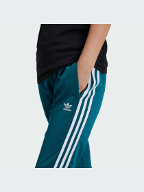 Брюки Adidas Adicolor модель IY9788-KZ Фото