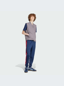 Брюки Adidas модель IY9870-KZ Фото