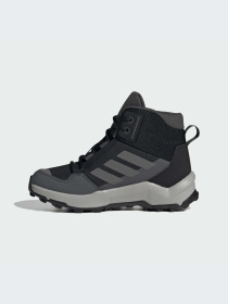 Ботинки и сапоги Adidas Terrex модель IF6520-KZ Фото