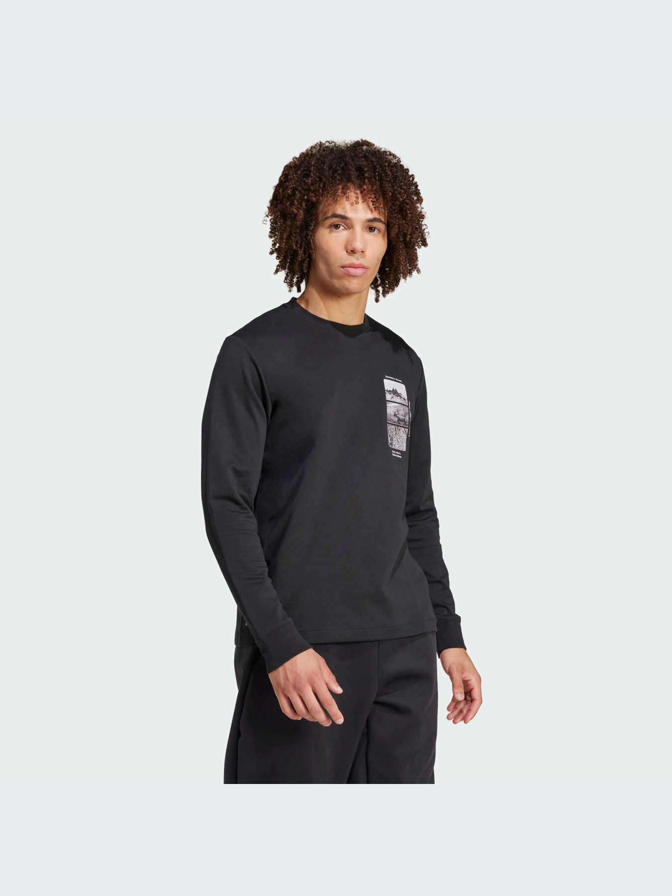 Худи и свитшоты Adidas модель IX5613-KZ Фото