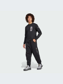 Худи и свитшоты Adidas модель IX5613-KZ Фото