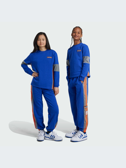 Брюки Adidas Adicolor модель IW6014-KZ Фото