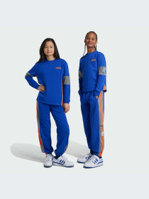 Брюки Adidas Adicolor модель IW6014-KZ Фото