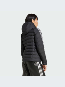 Куртки и дубленки Adidas Adicolor модель IW5849-KZ Фото