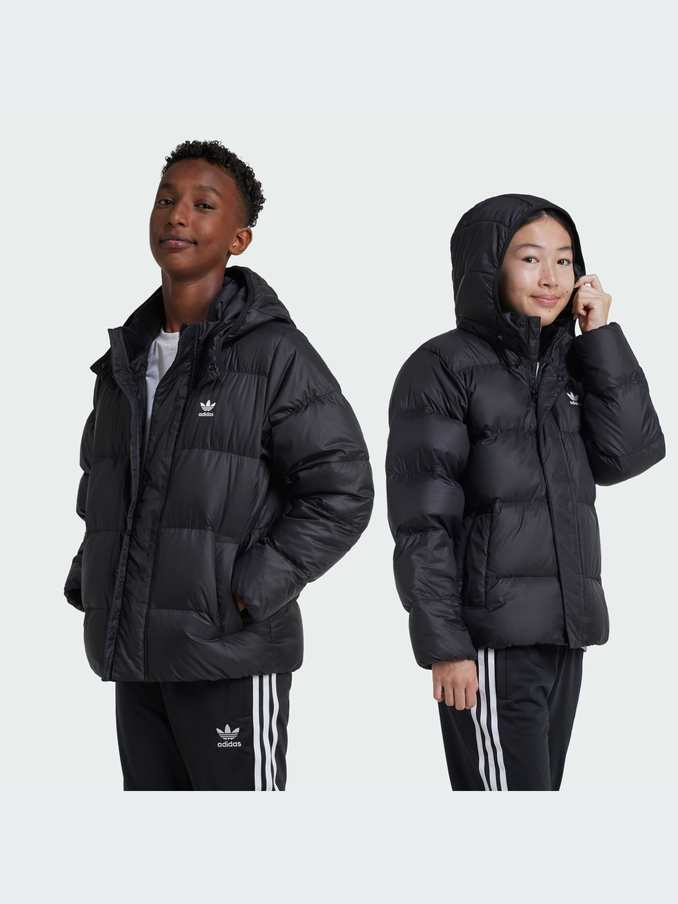 Куртки и дубленки Adidas Adicolor модель IY7498-KZ Фото