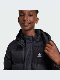 Куртки и дубленки Adidas Adicolor модель IY7498-KZ Фото