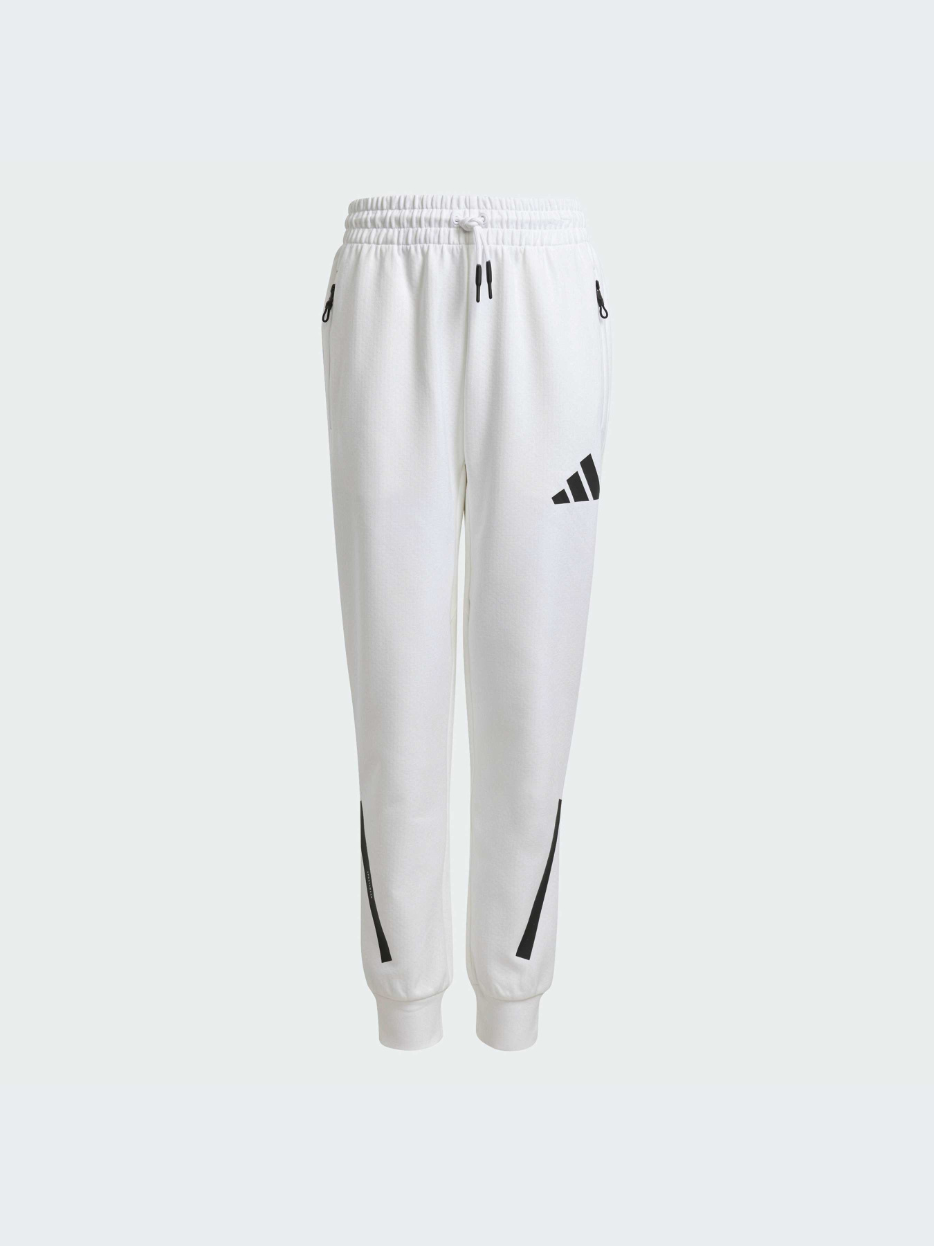 Брюки Adidas ZNE модель JJ4148-KZ Фото