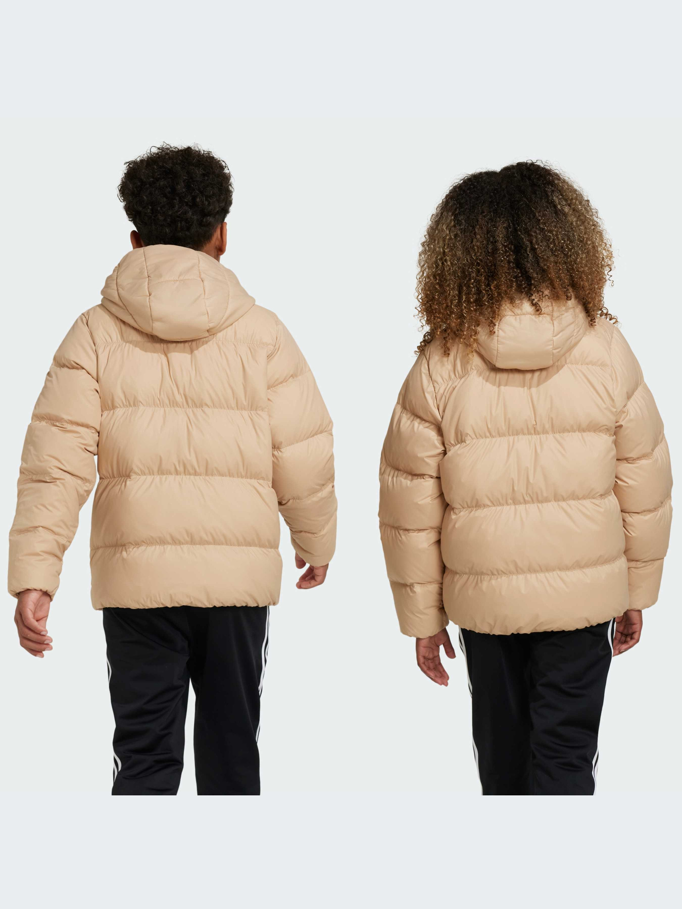 Куртки и дубленки Adidas Adicolor модель IY7500-KZ Фото