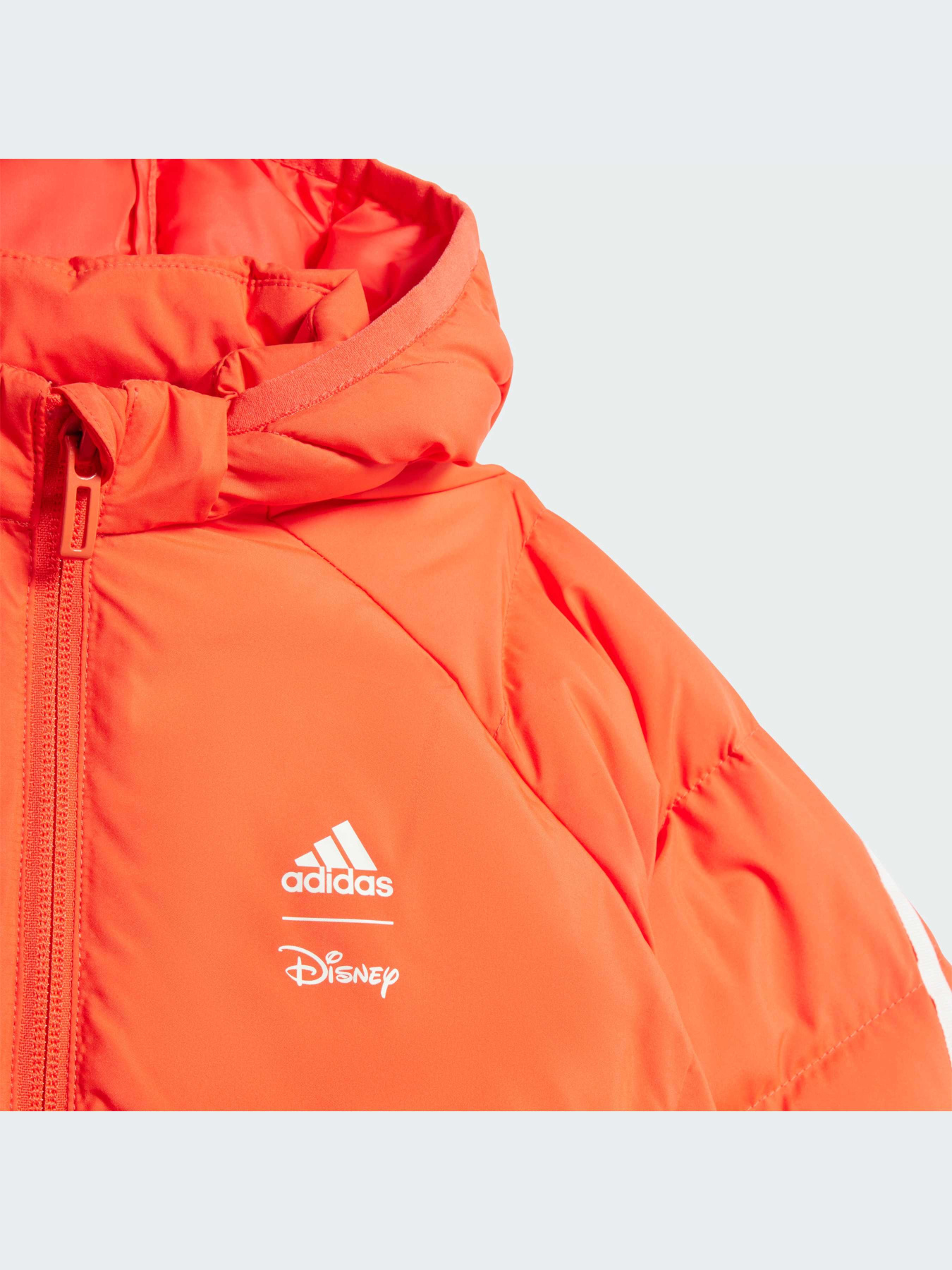 Куртки и дубленки Adidas модель IV9646-KZ Фото