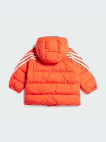 Куртки и дубленки Adidas модель IV9646-KZ Фото